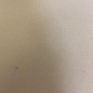 Meet your Posher, Chelsea